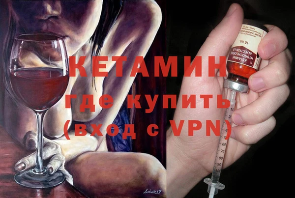 дмт Болотное