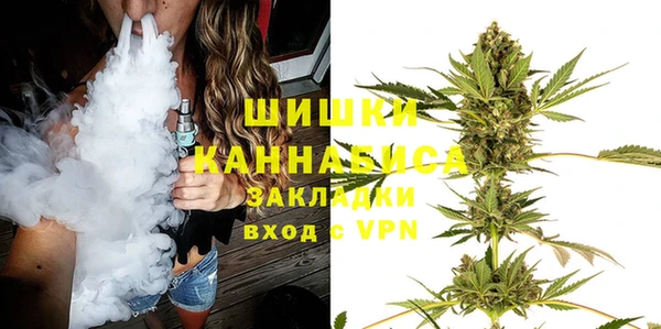 дмт Болотное