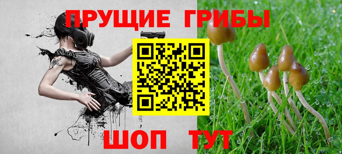 Псилоцибиновые грибы прущие грибы  Галлюциногенные грибы Magic Shrooms  Аргун 