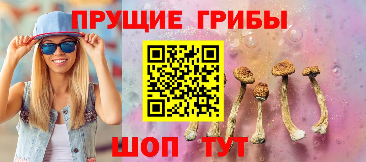 Галлюциногенные грибы MAGIC MUSHROOMS  Вход с VPN  Аргун  Галлюциногенные грибы Cubensis 