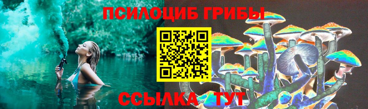 Псилоцибиновые грибы мицелий Аргун